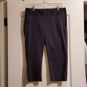 Banana Republic Martin Fit Capris